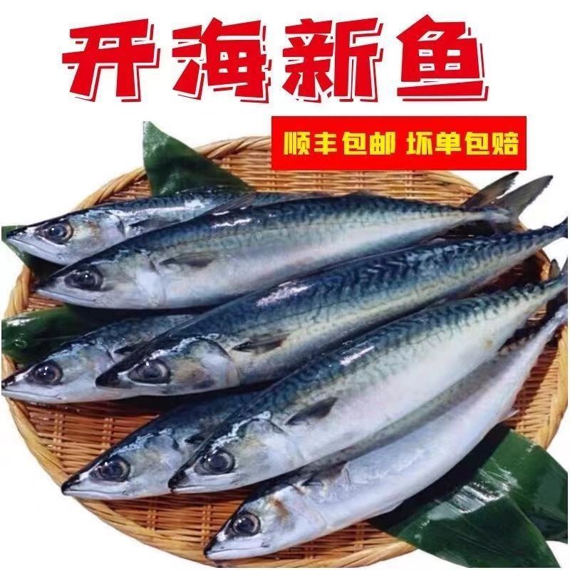 鲐鲅鱼青条鱼新鲜活台鱼马鲛鱼整条冷冻青花鱼一整箱