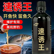 ���T���ڿ�Ұ��a�����_���c�~�N�����~��D�����ӄ��T�~��