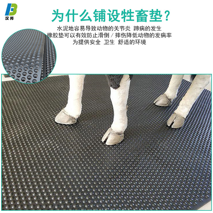 牛场防滑垫加厚12mm17mm圆点珍珠纹耐磨防滑防水牛棚牛圈马场地垫