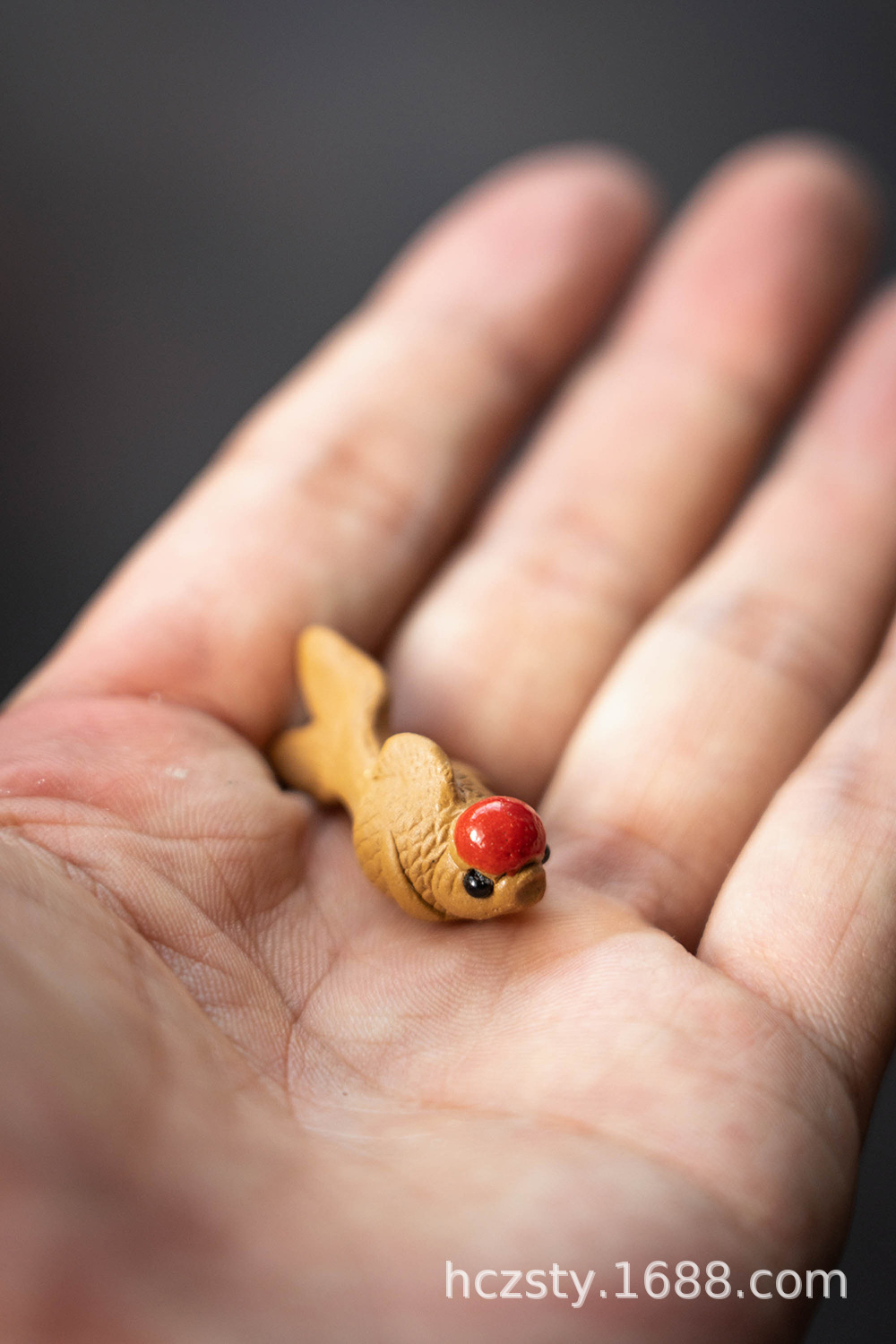 小金鱼20220714 (28).jpg