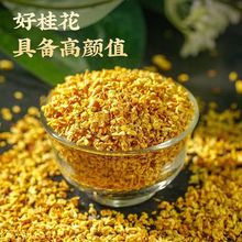 厂家新货花草茶批发桂花 散装桂花干 干桂花 当季无硫桂花茶散装