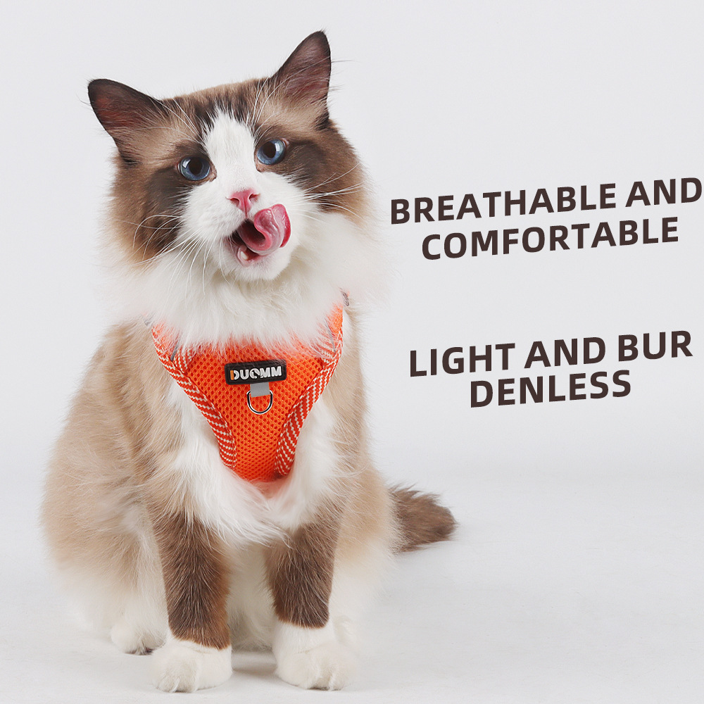 Outdoor Pet Leash Slim Cat Leash Dog Harness Cat Harness Suitable for Cats And Dogs_voghion.com