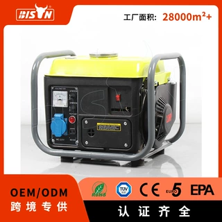 generator迷你汽油发电机定制 110/220V手动家用小型发电机便携式
