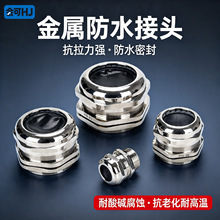 �S�~�懽�����|�̶����^���|�i�^PG/M/G��늱�����ĸ��|�̶��^