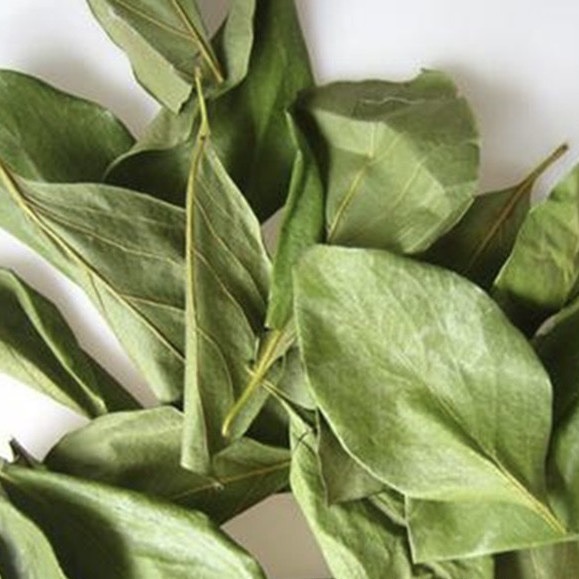 Dried Persimmon Leaves Shi Ye 500g Natural Whole Leaf Herbal Tea Material overview