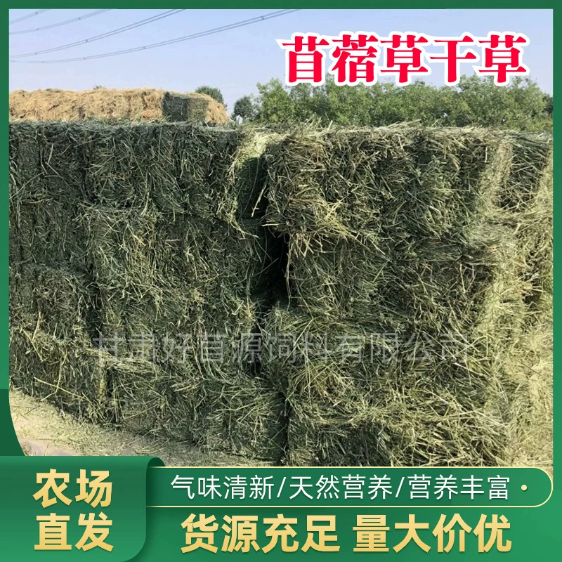 Сено из люцерны, один тонна, корм для крупного рогатого скота, овец, лошадей, фермерских хозяйств, альпак, оленей, зоопарков, фиолетовое сено из люцерны.