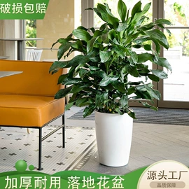 花盆容器;花盆装饰;园艺灌溉工具