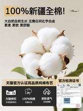 ♔A类生态棉沙发盖垫2025新款四季通用一片式固定母婴级防滑沙发