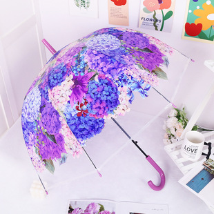 ���򻨺������䰢���_Ģ�����Ώ͹ŌW���L������͸��ӡ���������