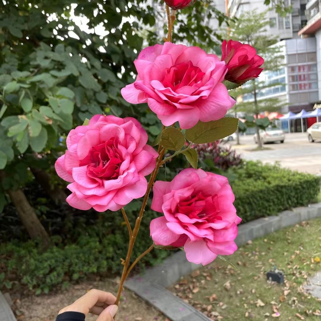 Té laifei de 5 cabezas Rosa Roja