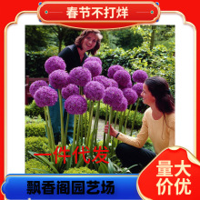 һ�����l���[�N����m�M���ͺ���������ֲ��ͥԺ���Դ��[�����