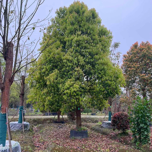 ΢��ͼƬ_20230406110656