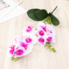 Phalaenopsis Simulation Flower 3D Print 9 Hand -felt Film Wedding Wedding Flower Homorph House Artificial Decoration Flower High -end Fake Flower