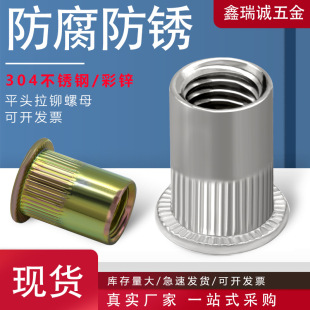 304���P䓝L�����T��ĸ �����\�Q�y��ñƽ�^���\���T��ĸM3-M12