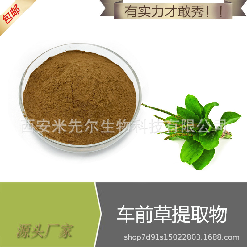 车前草提取物10:1 车前草粉 车前草皂甙 厂家  现货供应