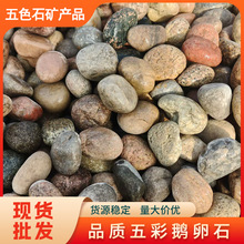 变压器鹅卵石杂色工程铺路用石头园林造景水过滤庭院装饰用河卵石