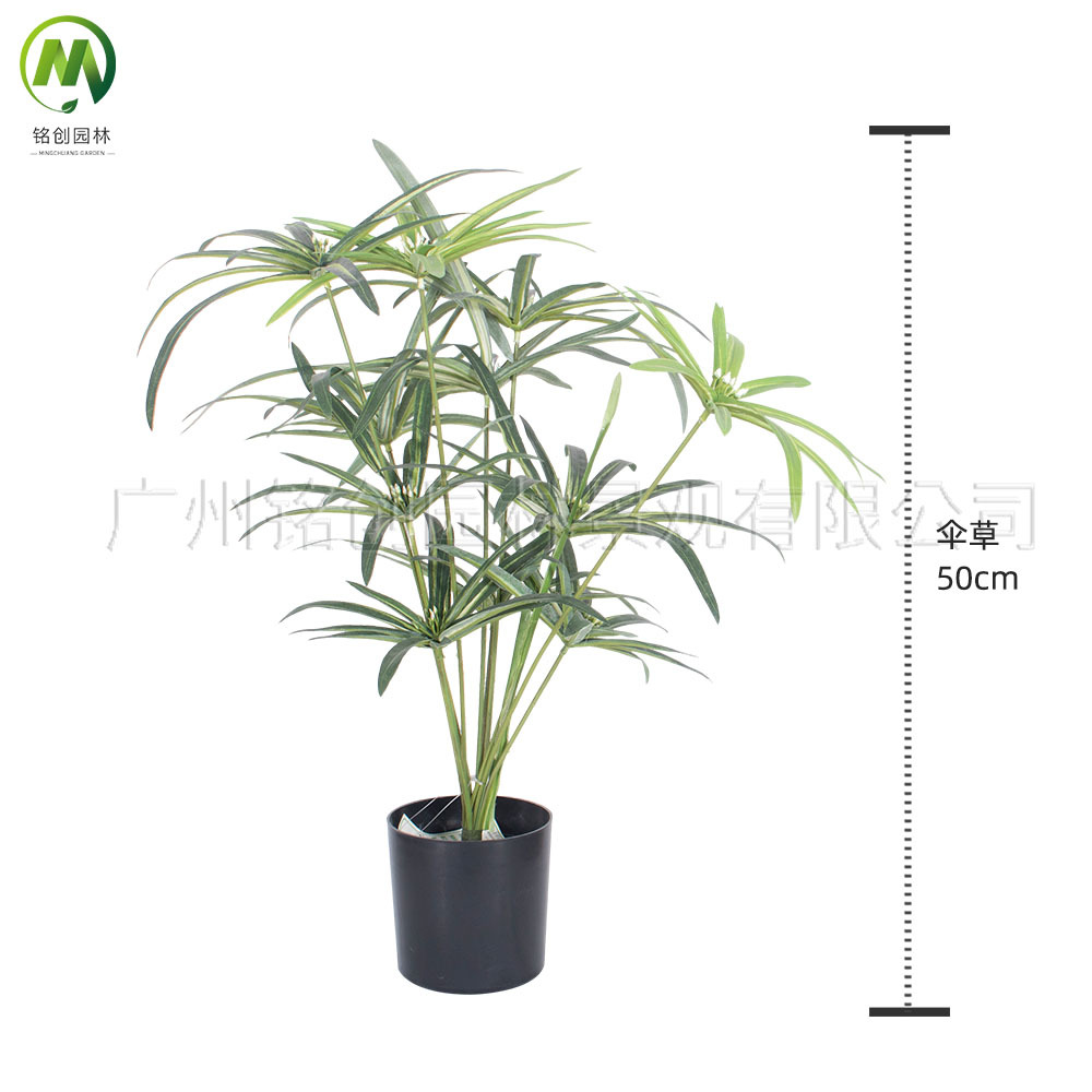 Paisaje interior del suelo, planta pequeña de hoja grande, planta pequeña, planta de taro de hadas, 60cm, planta verde de simulación de monstera, planta pequeña en maceta image 13