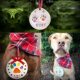 Cat dog claw inkpad pet birthday gift footpad pet hand foot inkpad commemorative supplies suit wholesale
