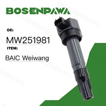 ������BAIC Weiwang �����ȦMW251981MW251981 MW251981