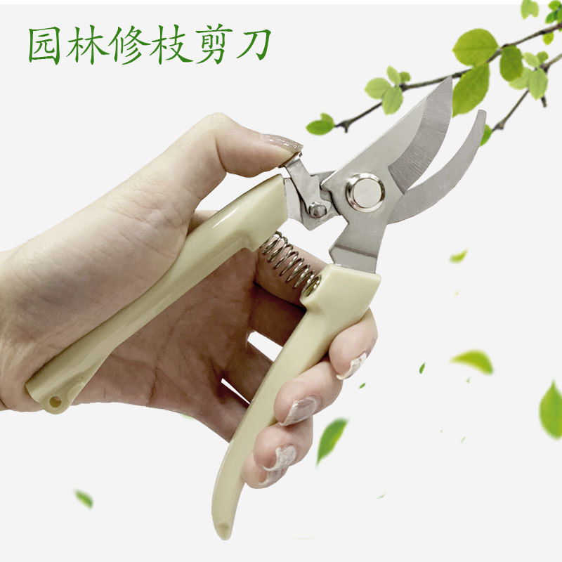 pp手柄简易园林剪刀园林修枝剪刀园艺剪18cm弯头树枝剪刀园艺工具
