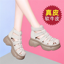 ��z��2025�ļ���ѥŮ��Ƥ�ɸ��כ�Ь�^��ţƤ��ѥ�ߎ��_�RЬ��