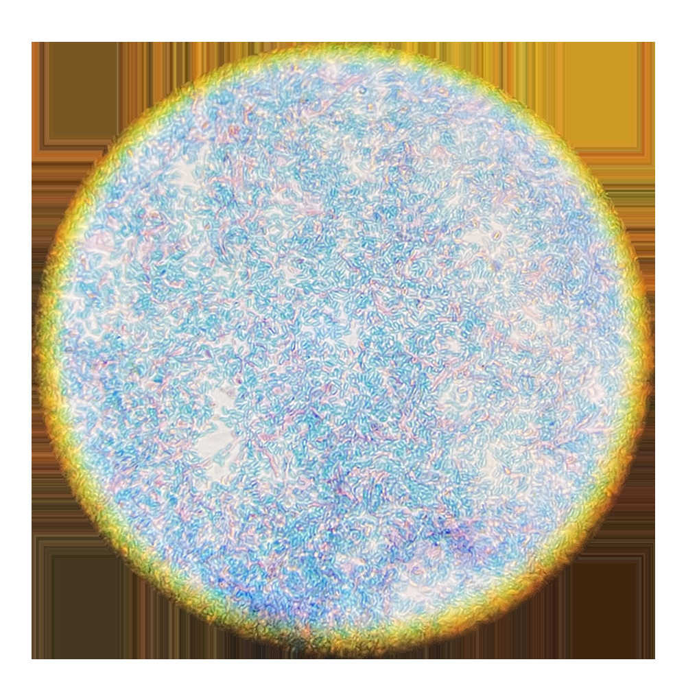 bd9068382fb2584626c19ec6f72e77