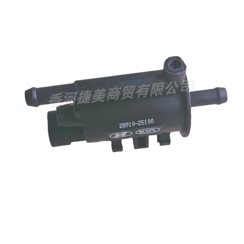 2891025100 28910-25100 for Hyundai Kia Canister Solenoid Valve