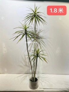 �������w��Ѫ�������Ѫ�F������L�Gֲ�辰�٘�ǧ��ľ�Rβ�F�b�