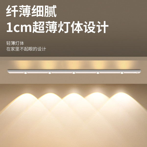 physiological induction lamp