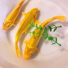 ��ˮ�^�p�~��ˮС���~�ͻ��~�~����wС���\�������~�������l�S��