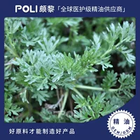 Индия импортирует эфирное масло Artemisia эфирное масло сырье Artemisia poli массажное масло poli/poli оптовая продажа одностороннего эфирного масла