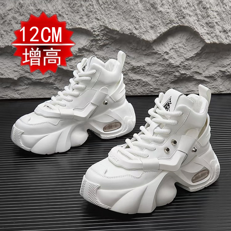 High-Top Men's Shoes 2024 New Style with Hidden 12cm Height Increase, White Casual Air-Cushion Thick-Soled Dad Sneakers