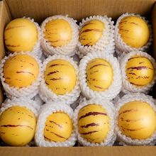 云南石林人参果新鲜应季水果黄肉大人生果人叁果圆果批发厂供应链