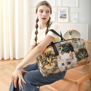 Amazon Simple and Cute Cat Print Short-Distance Business Trip Boarding Large-Capacity Clothing Quilted Travel Bag