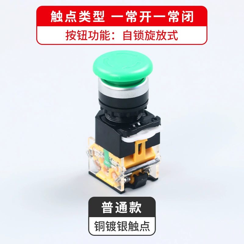 Switch key, button with clove mushrooms, 38