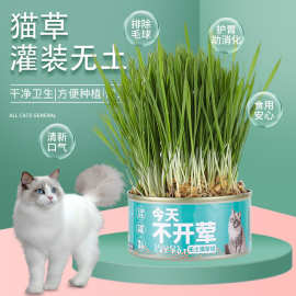 猫草土价格 最新猫草土价格 批发报价 价格大全 阿里巴巴