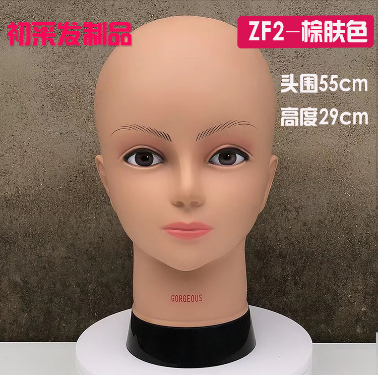 帽子のかつらのモデルの特頭は女性を支えます。|undefined
