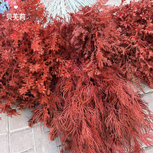 �Ƽtɫ���滨��ʽ��Y����̨·���廨�tɫ�~�Ӽٻ���c������ϻ�