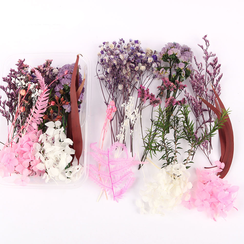 Flores secas preservadas hechas a mano, marco de fotos DIY, decoración mixta, materiales de aromaterapia, flores naturales, ramo de regalo para boda, San Valentín
