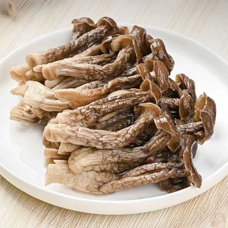 鹿茸菇干货特级500g 特选鹿茸菌古田特产饭店酒店干锅鹿茸菇专用|undefined