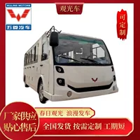 Электромобиль для экскурсий Wuling National Guest Series, 23-местный закрытый автомобиль класса люкс для деловых поездок с кожаными авиационными сиденьями