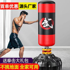 Children's boxing sandbag home fitness equipment, sanda taekwondo training, adult unsteady upright sandbag