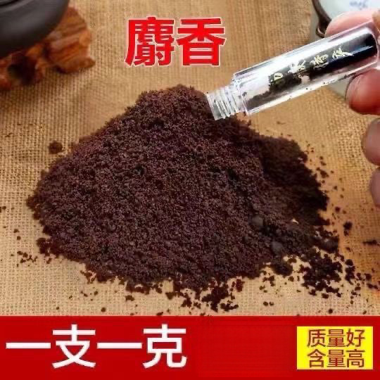 正宗麝香 西藏麝香 养殖纯正麝香仁麝香粉当门子射香药用包邮