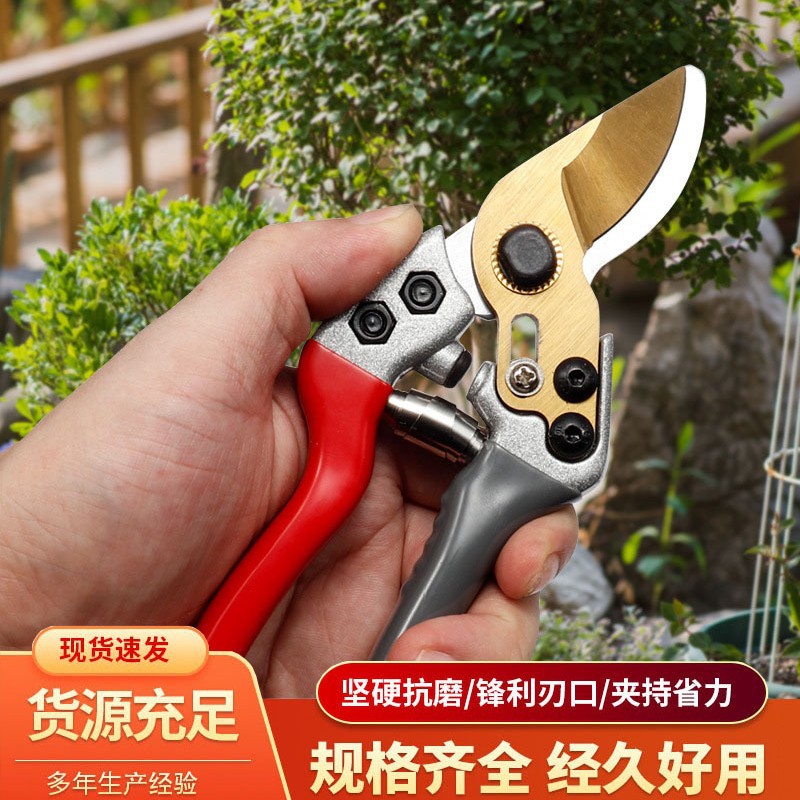 修枝剪省力v1型果树园艺花艺修果枝剪子盆景粗枝硬枝树枝剪刀大力