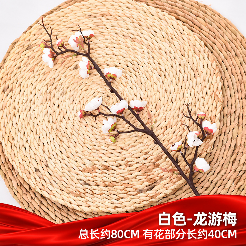 화이트 드래곤 유메이