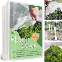 7X17FT 7X33FT ֱ͸˪ֲw̺