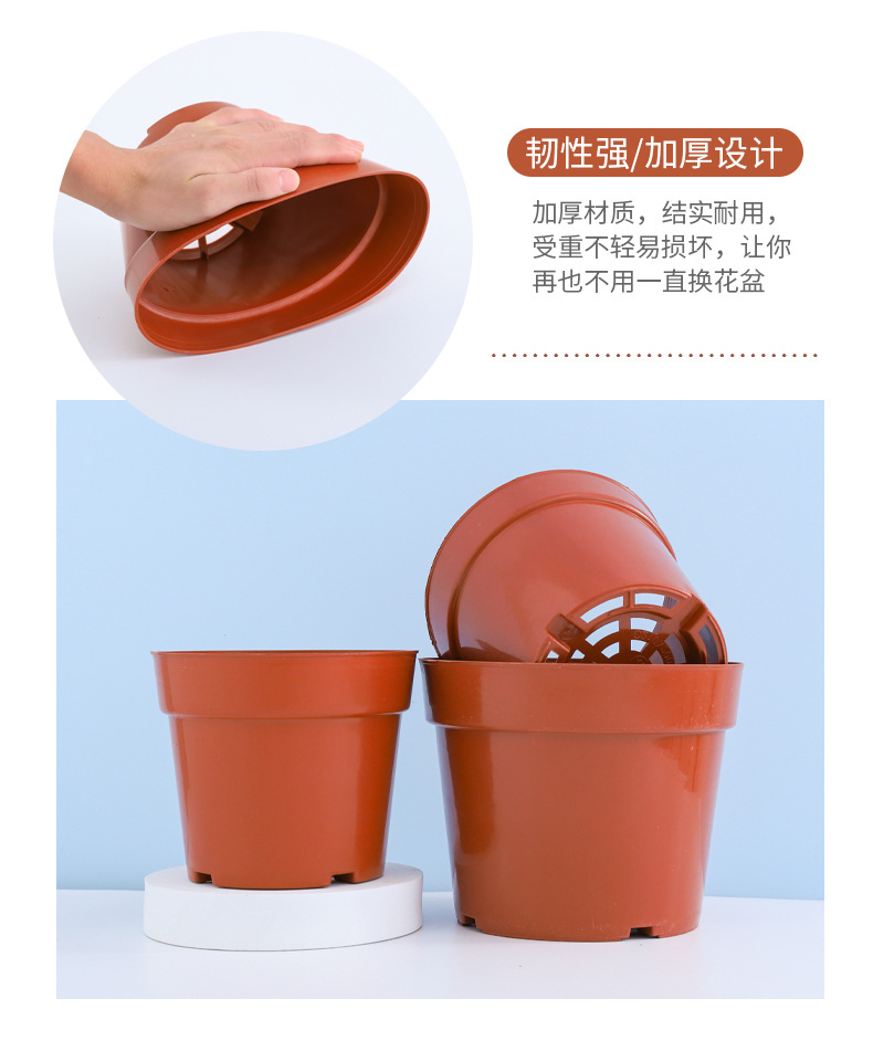 C型网底花托盆 (10)