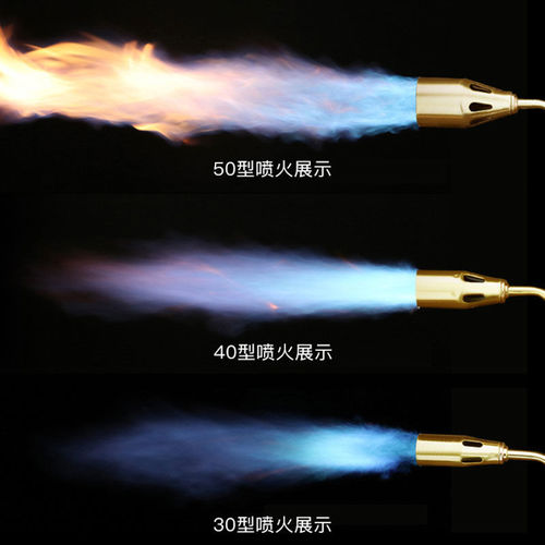 Arrizo liquefied gas flame gun burning pig hair spray gun gas blowtorch household waterproof high temperature head welding gun flamethrower