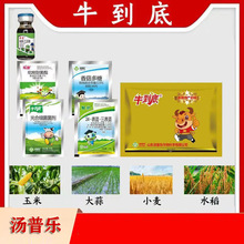 ���՘� ţ���� ���r�������� �����Ѿ��� �㹽���� ��ϼ�������