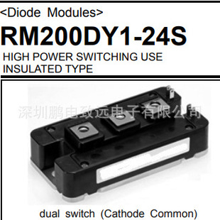 Pengdian Zhiyuan RM200DY1-24S inverter DC motor battery and control panel for DC power supply